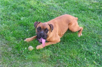 Dnes žádný fotbal, bude se hrát tenis