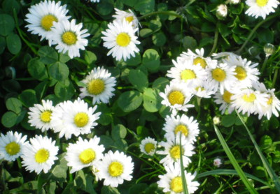 Nejen sedm krás, co rozhostí se v nás