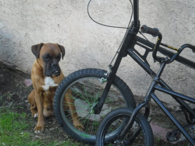 Ráda bych se projela, ale nevím na kterém...