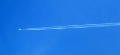 Bílá na modrém pozadí