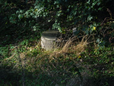 Zapomenutá