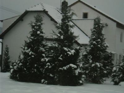 Podvečerní nálada