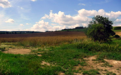 Srpnová