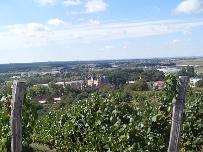 Vinařský kraj kolem Bzence