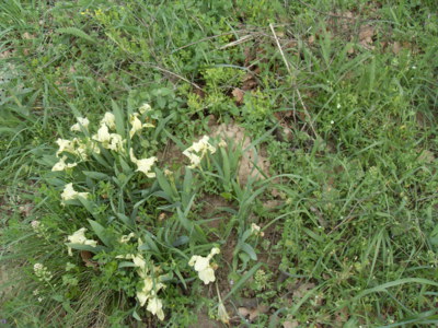 Pouzdřanská step...