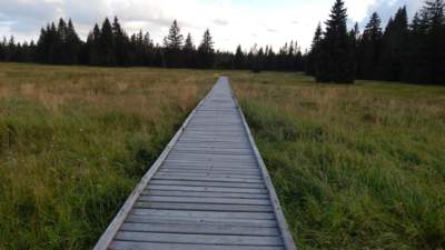 Rašeliniště Boží dar