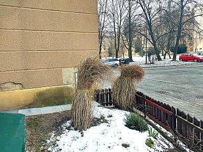 Smím prosit slečno? Ale neříkejte, že *