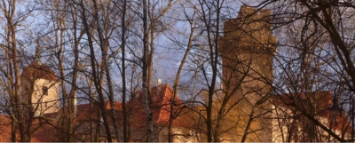 Šípková Růženka spí