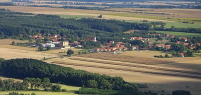 Sklizeň