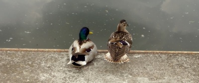 Skočíme tam? A víš, mámo, že se mi ani nechce?