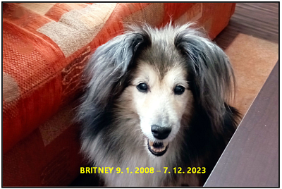 Moje malá a věrná kamarádka