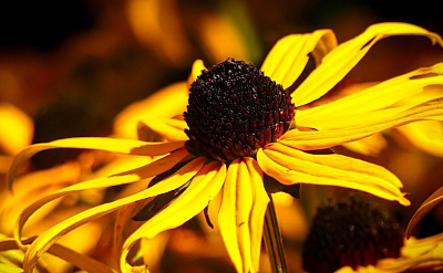 Objednejte si nástěnný kalendář na rok 2026