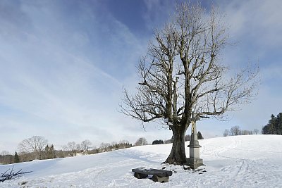 Soláň
