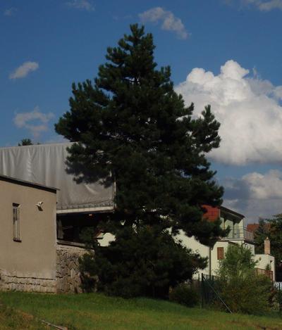 Správně zaparkovaný