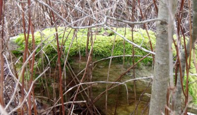 Starý a nový život