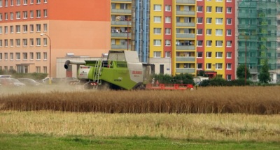 Moje žňová tradice, aneb Stříhám zásadně na ježka