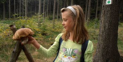 Tebe nesním, tebe si nechám ...