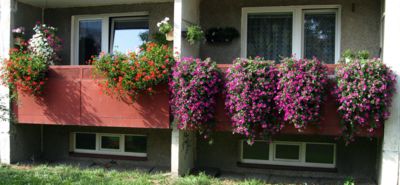 Podzim na sídlišti