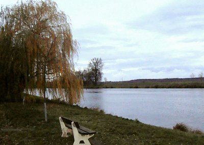 Lavička