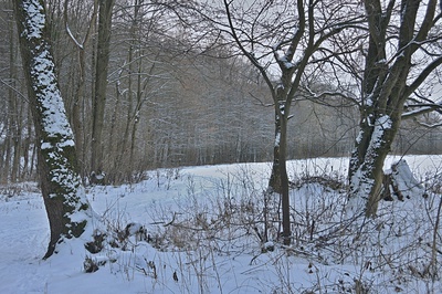 Trojice