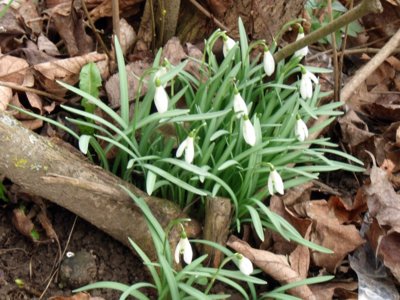 První u nás na sídlišti