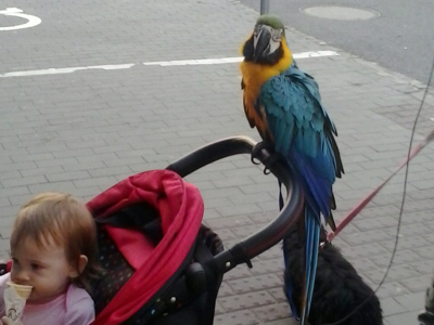 A jedeme pro zmrzlinu!