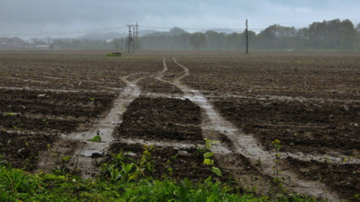 V mlhách se ztrácí můj cíl
