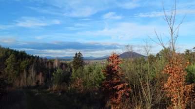 Zima v lesích pod Ralskem