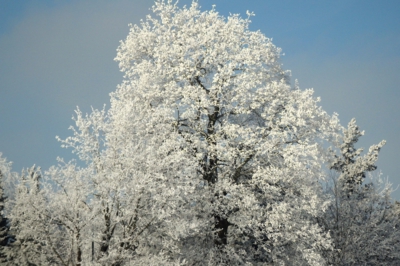 Včera na Vysočině