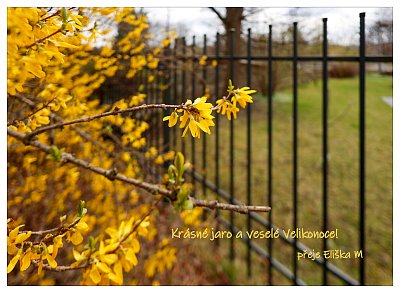 Krásné sváteční dny přeji všem ...