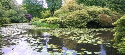 Aston park, červen 2016