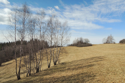 Z posledního zimního dne