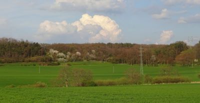 Za humny (2)