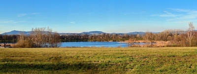 Žabakor