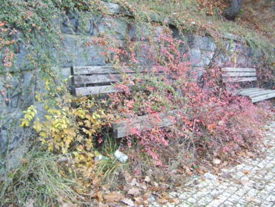 Zapomenutá zastávka