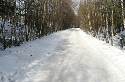 Zasněžená perspektiva