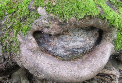 Zavři tu klapačku!