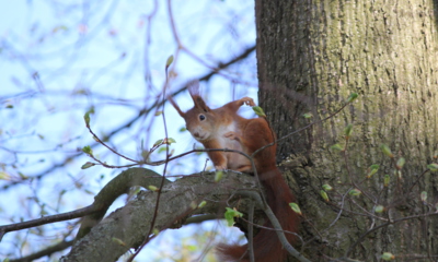 Jen se trochu protáhnu...