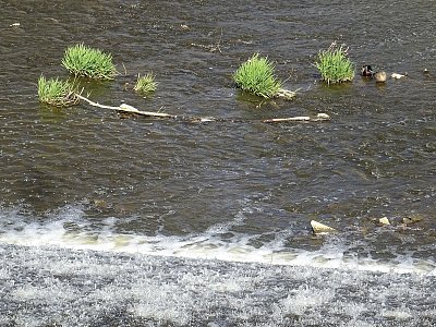 Zelené ostrůvky pod splavem...