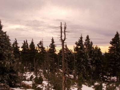 Zima v Krušných horách