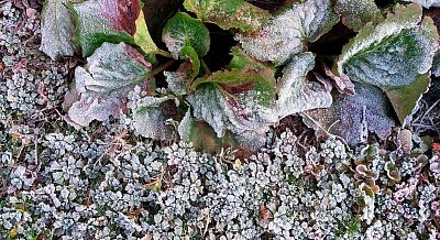 Bez peřinky je zima