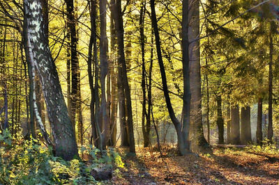 Zóna klidu a pohody