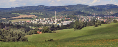 Zubří