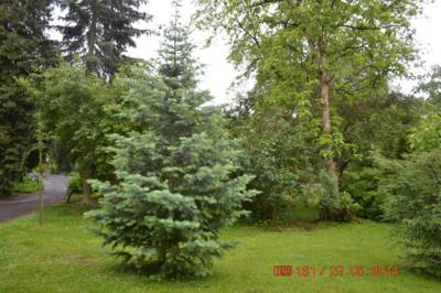 arboretum-bila-lhota-23--1.jpg