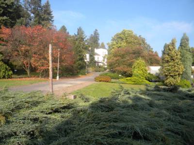 arboretum-nove-dvory-u-opavy-15-.jpg