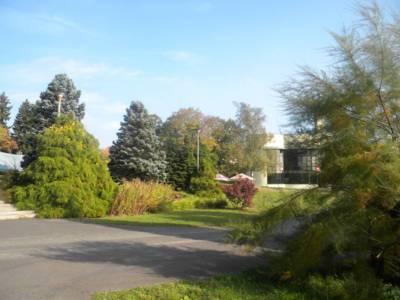 arboretum-nove-dvory-u-opavy-18-.jpg