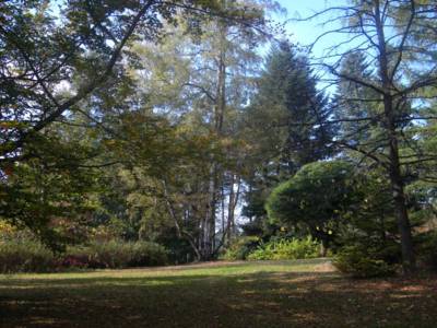 arboretum-nove-dvory-u-opavy-3-.jpg