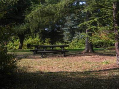 arboretum-nove-dvory-u-opavy-4-.jpg