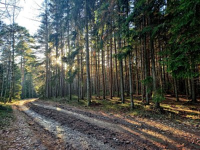 Blátivou cestou dál nechceš jít...