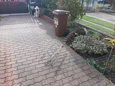 bobina-v-zari-podzimniho-slunce-9-1.jpg